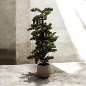 Threshold 25” Faux Pine Tree with Light Flocking/Snow in Cream Pot